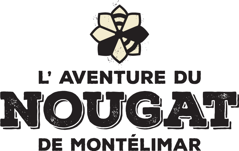 Formation WordPress pour le GIE Internougat à Montélimar.